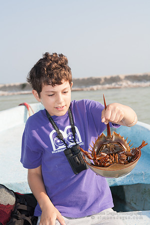 IMG_3889_5D001