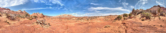 IMG_0972_1001_5DII000