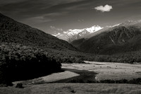 IMG_6352.jpg