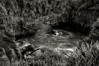 IMG_6387.jpg