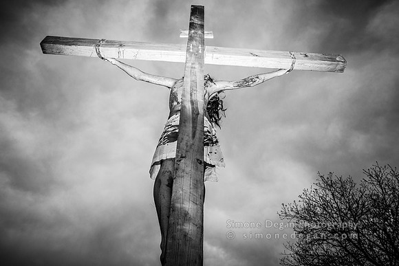 IMG_7337_5DIII000_2