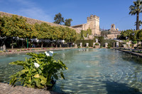 IMG_3861_5_5DIII0001