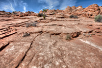 IMG_0666_7_8_5DII000