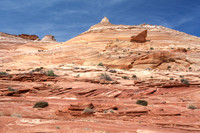 IMG_0737_8_9_5DII000