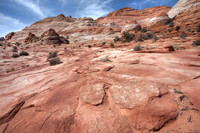 IMG_0716_7_8_5DII000