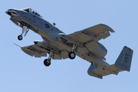 IMG_2710_7D000