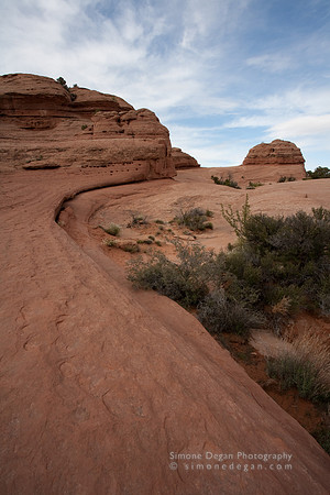 IMG_3330.jpg