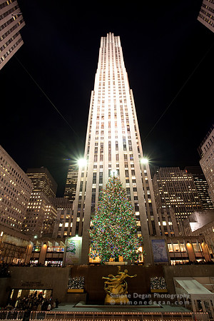IMG_1151_5D001.jpg