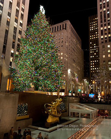 IMG_1148_5D001.jpg