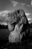 IMG_25_171