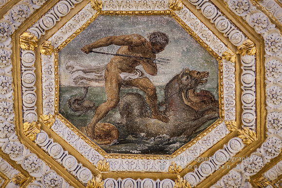 IMG_4695