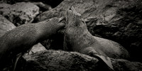 IMG_0685.jpg
